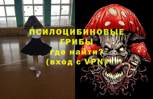 дурь Магас