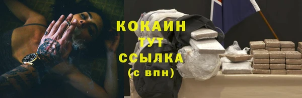 дурь Магас