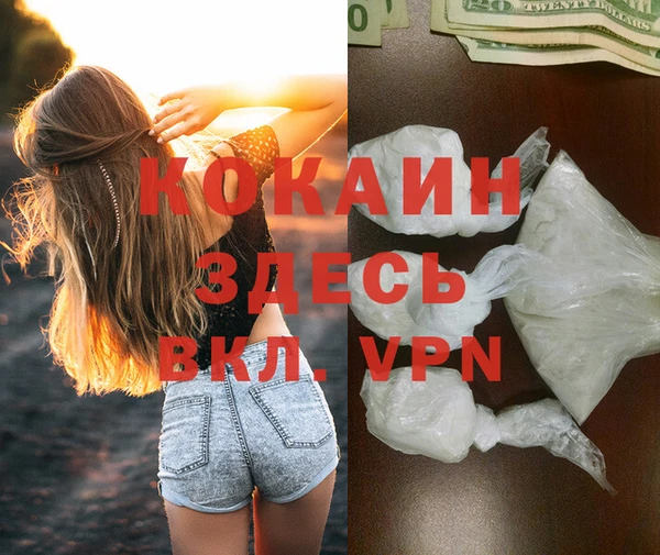 прущие грибы Магадан