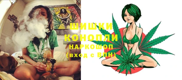 прущие грибы Магадан