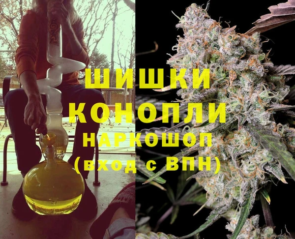 прущие грибы Магадан