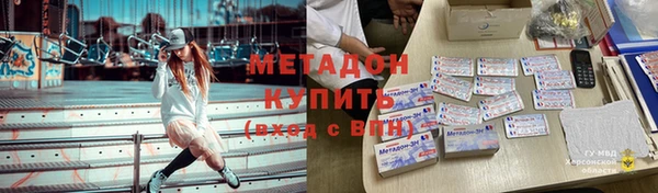 прущие грибы Магадан