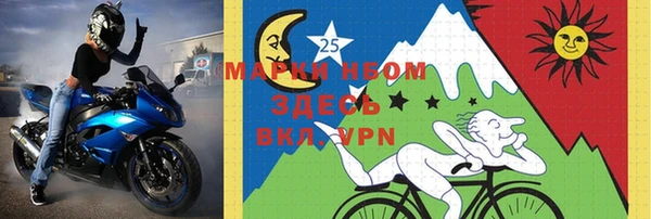 прущие грибы Магадан