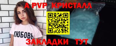 кокс Кингисепп