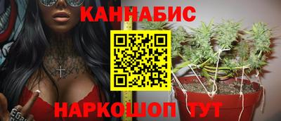 кокс Кингисепп