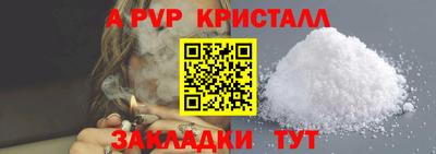 кокс Кингисепп